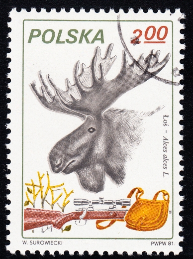 2602 przesunięta barwa kasowany