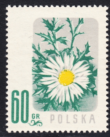 0880 przecinek po 60 czysty**