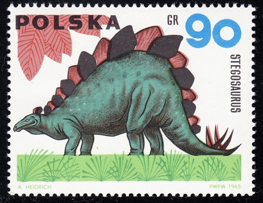 1425 przesunięta barwa czysty**