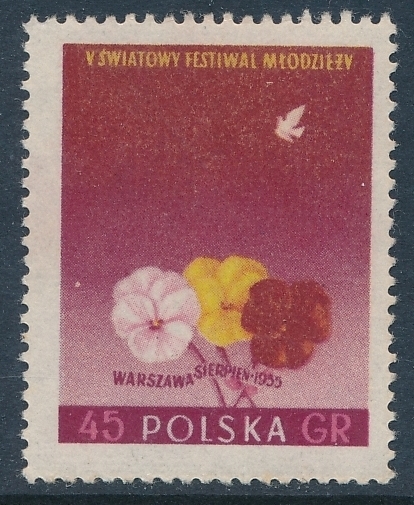 0778 B kokardka gwarancja czysty**