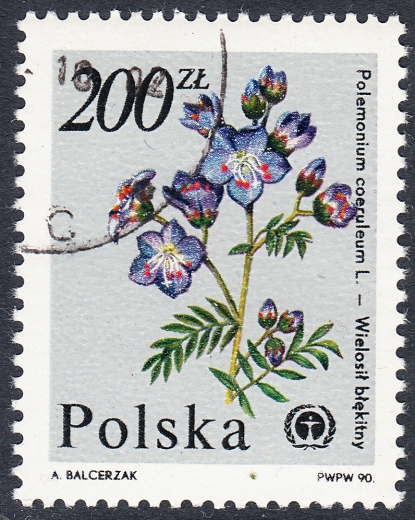3134 plamka w Z kasowany