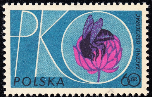 1118 przerwany płatek czysty**
