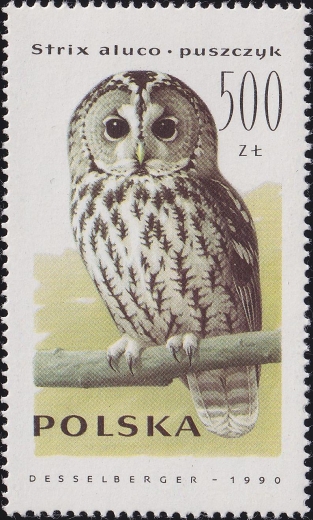 3148 B1 kreska w PUSZCZYK czysty**