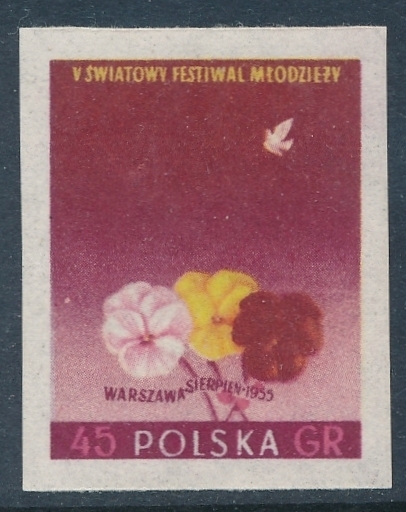 0778 A kokardka gwarancja czysty**