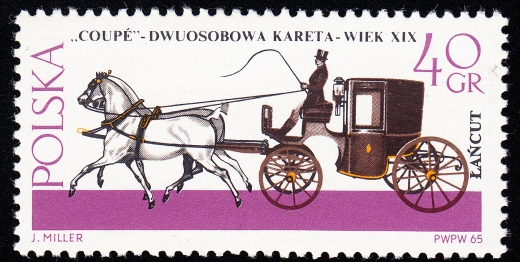 1496 ścięte 4 czysty**
