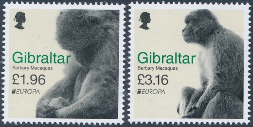 Gibraltar 2000-2001 czyste** Europa Cept