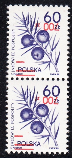 3121 B2 Nadruk odwrócony parka czyste**