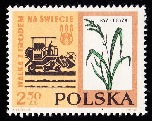 1225 kropka pod dachem kombajnu czysty**