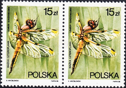 2987 B5 wcięcie w A i nazwy łacińskiej gwarancja+opis parka czysta**
