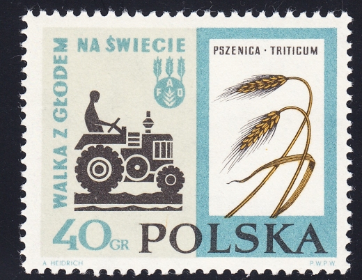 1223 ścięte M czysty**