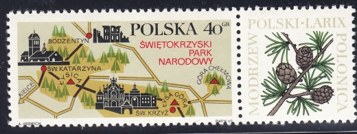 1769 plama w D czysty**