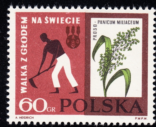 1224 kropka w Ś czysty**
