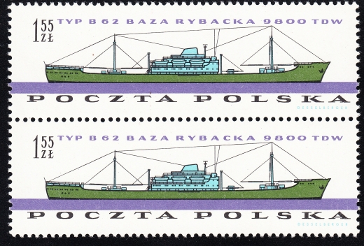1095 wcięcie w C parka czysta**