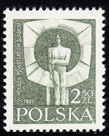 2579 przerwana siatka czysty**