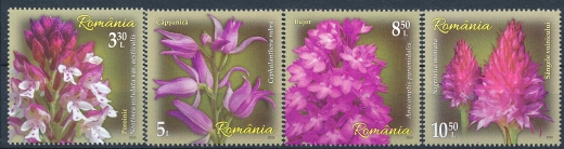 Rumunia Mi.7736-7739 czyste**
