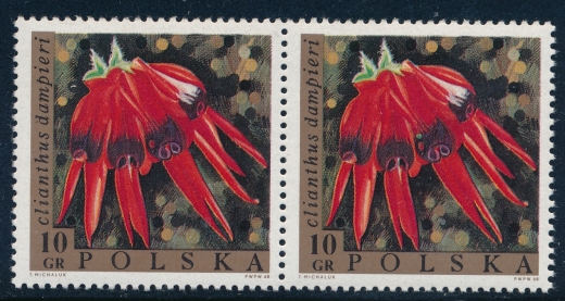 1689 zielona plamka na kwiatku parka czysta** gwarancja+opis