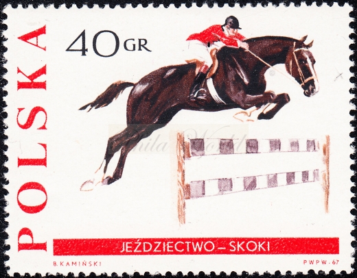 1594 plama pod szyją konia czysty**