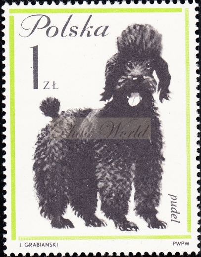 1231 kropeczka przed nominałem gwarancja+opis czysty**