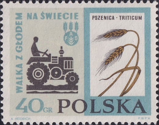 1223 plamka przy łodydze czysty**
