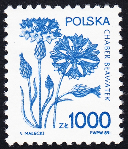 3098 ścięte S czysty**