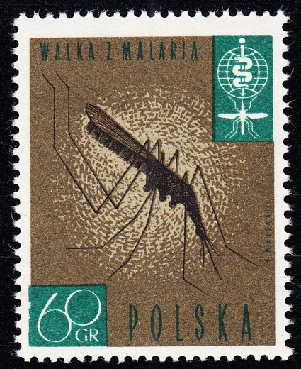1198 uszkodzona ramka czysty**