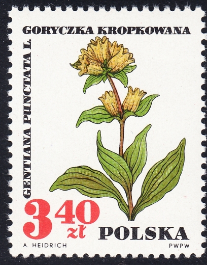 1625 uszkodzone A czysty**