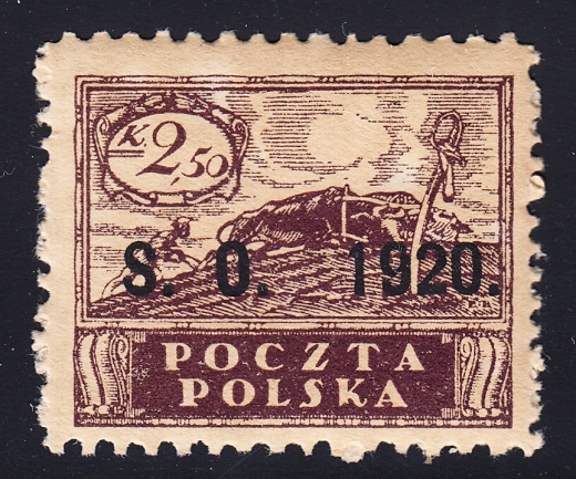 Plebiscyty Śląsk Cieszyński 09 przerwany ornament forma I czysty**