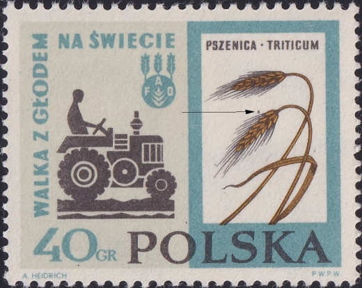 1223 plamka nad kłosem czysty**