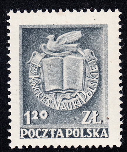 0561 plama przed Z czysty**