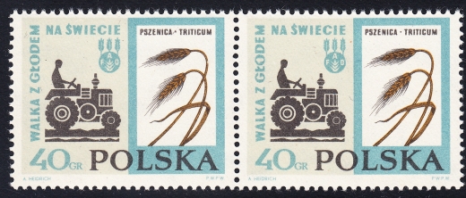 1223 wcięcie w O parka czysta**