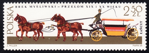 1501 plamka przed koniem czysty**