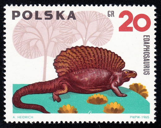 1421 plamka pod brzuchem czysty**