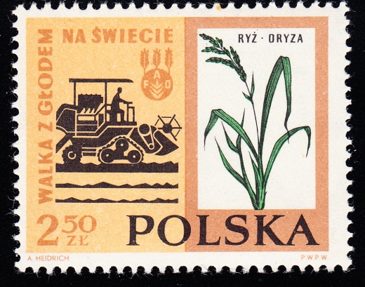 1225 haczyk na K czysty**