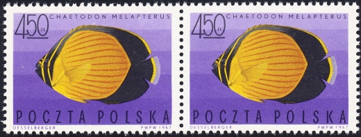 1606 plama w P i H parka czyste**
