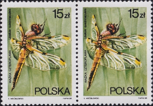 2987 B4 wklęśnięcie w Z czysty**