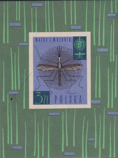 1201 blok 35 zgrubienie na trawie czysty**