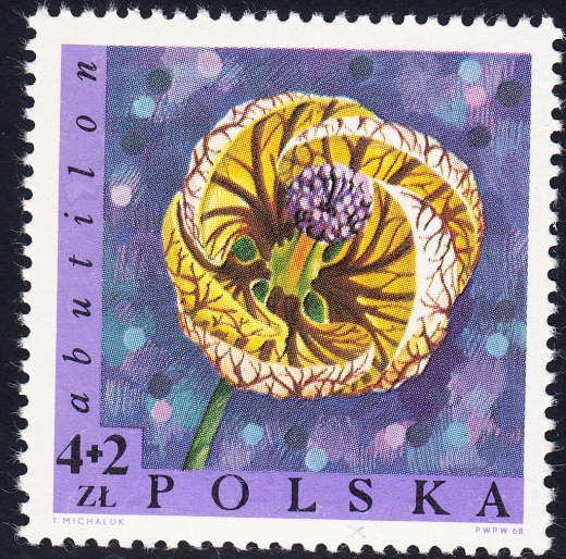 1695 wyrostek na S czysty**