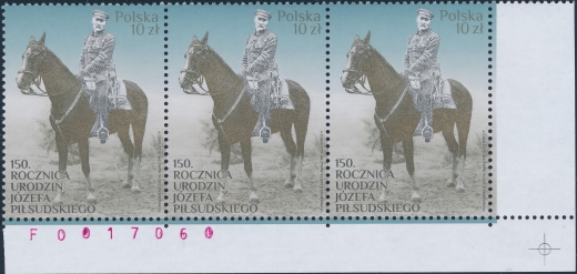 4817 oznaczenie sektora 3 numer 060 pasek czysty**